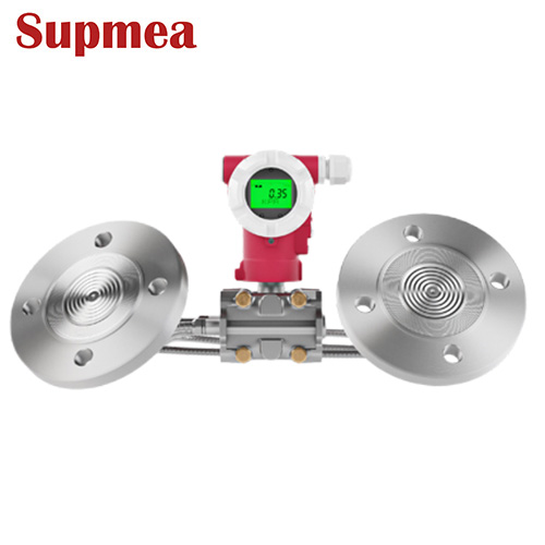 美仪_2051DP-D双法兰液位变送器