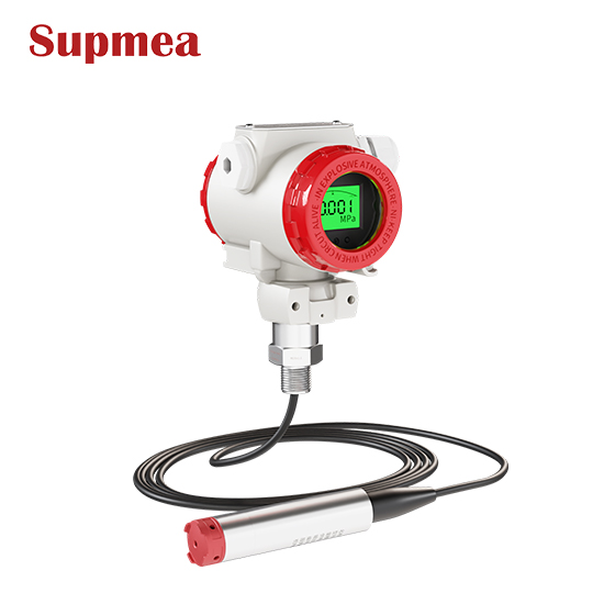 （带显示）2088壳体投入式液位计